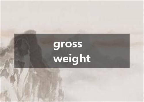 gross weight是什么意思