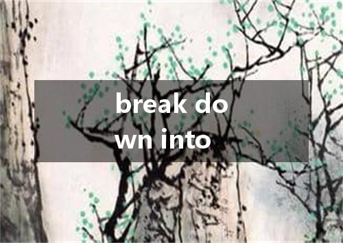 break down into是什么意思