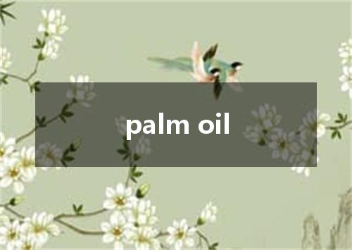 palm oil是什么意思
