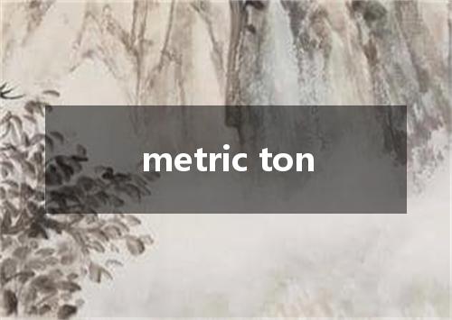 metric ton是什么意思