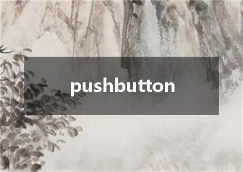 pushbutton是什么意思