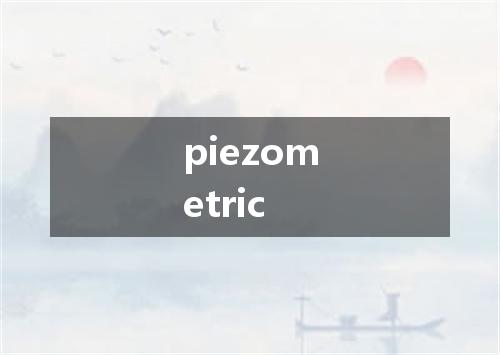 piezometric是什么意思