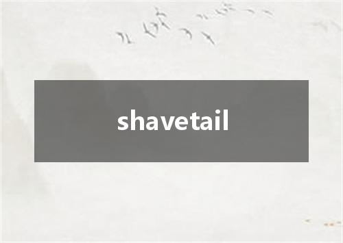 shavetail是什么意思