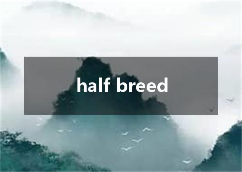 half breed是什么意思