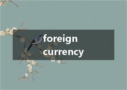 foreign currency是什么意思