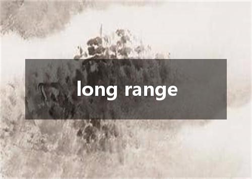 long range是什么意思