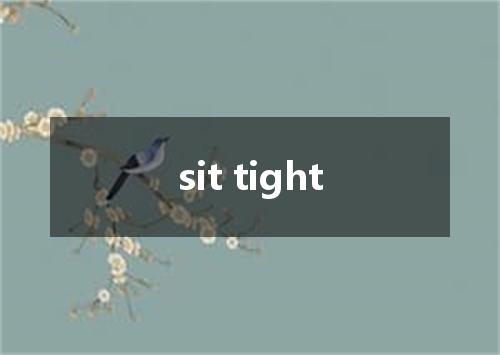 sit tight是什么意思