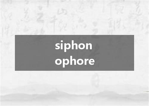 siphonophore是什么意思