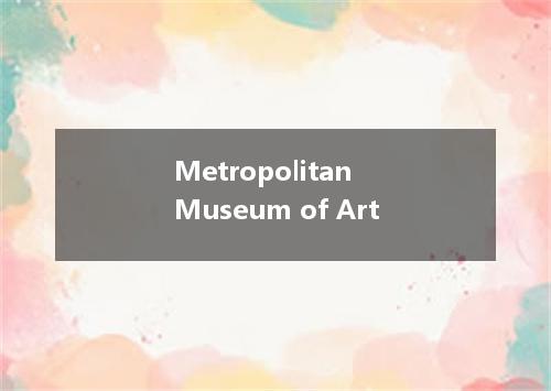 Metropolitan Museum of Art是什么意思