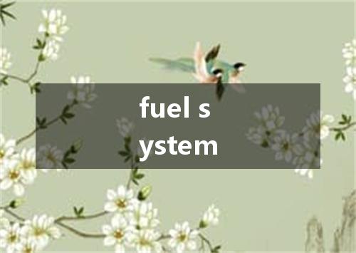 fuel system是什么意思