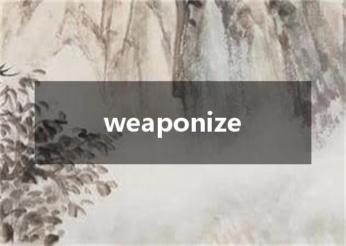 weaponize是什么意思