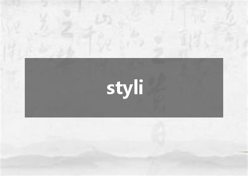 styli是什么意思