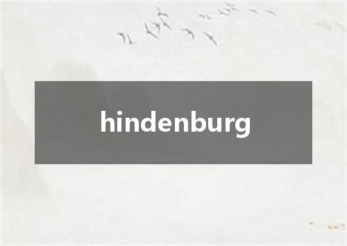 hindenburg是什么意思