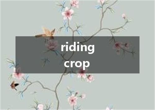 riding crop是什么意思