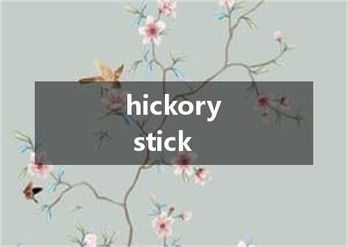hickory stick是什么意思