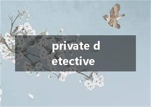 private detective是什么意思