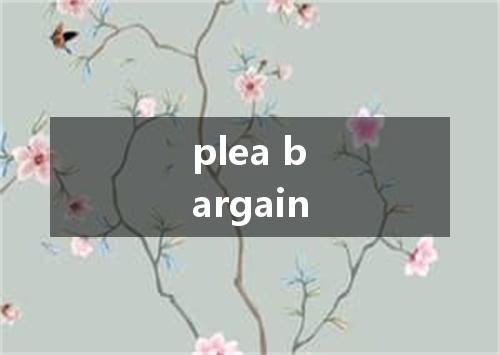 plea bargain是什么意思