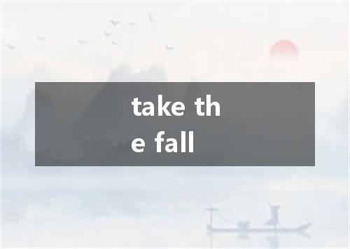 take the fall是什么意思