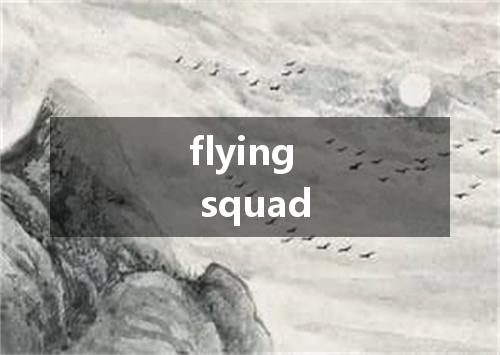 flying squad是什么意思