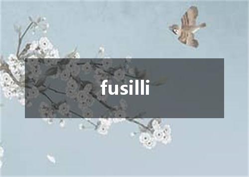 fusilli是什么意思
