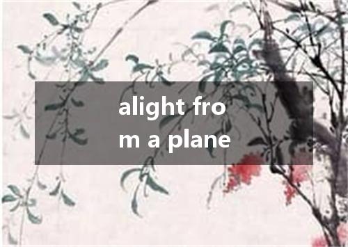 alight from a plane是什么意思