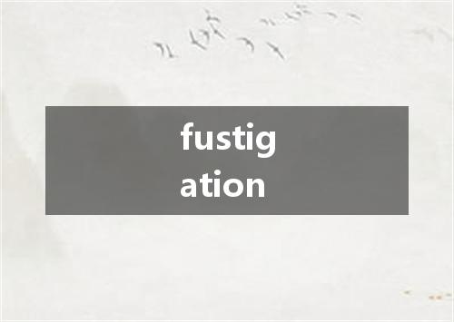 fustigation是什么意思