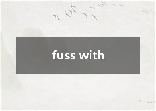 fuss with是什么意思
