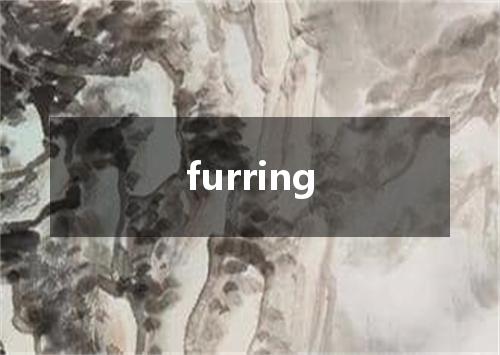 furring是什么意思