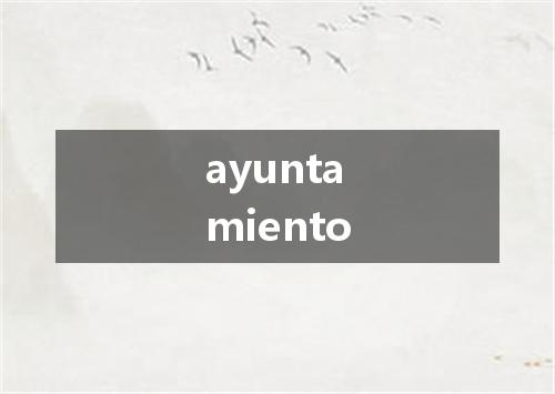 ayuntamiento是什么意思