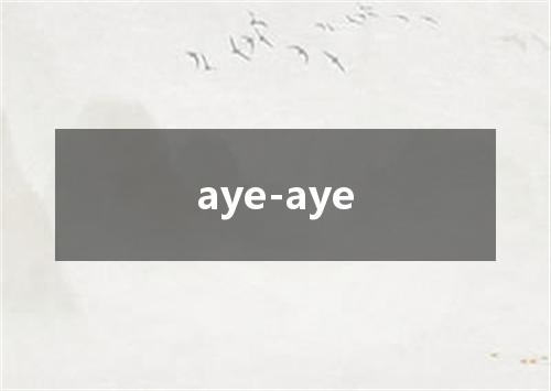 aye-aye是什么意思