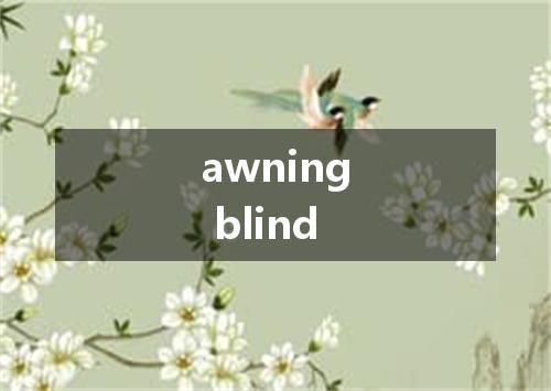 awning blind是什么意思