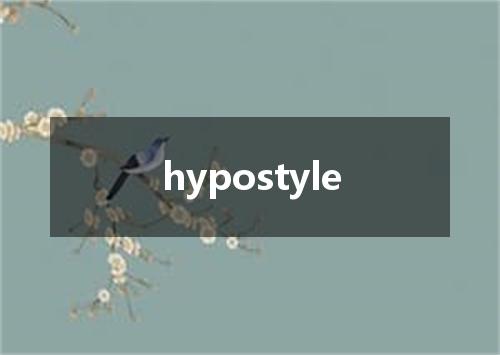 hypostyle是什么意思