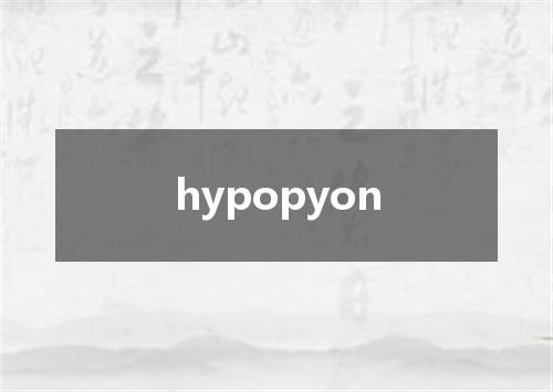 hypopyon是什么意思