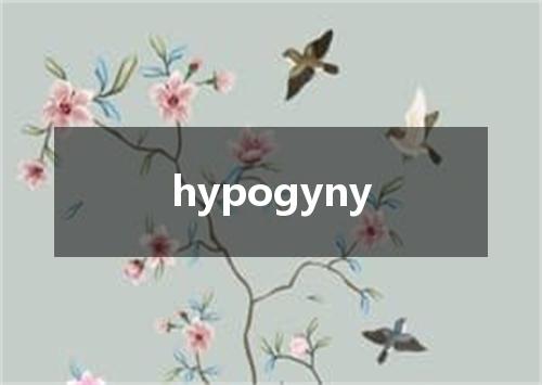 hypogyny是什么意思