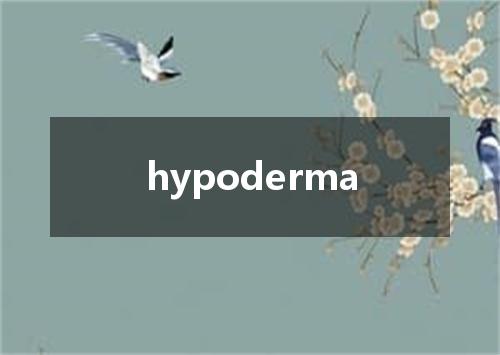 hypoderma是什么意思