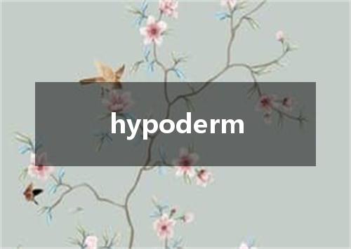 hypoderm是什么意思
