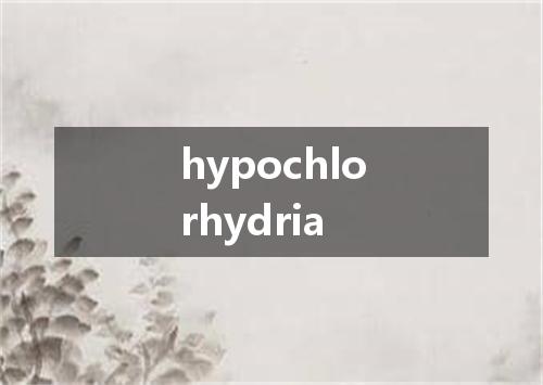 hypochlorhydria是什么意思