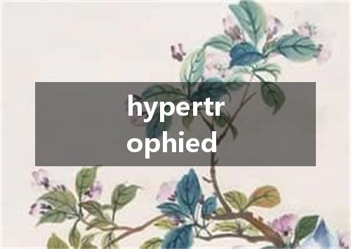 hypertrophied是什么意思