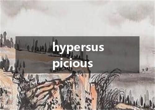 hypersuspicious是什么意思