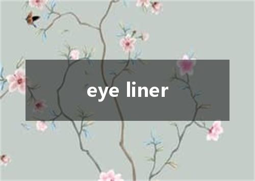 eye liner是什么意思