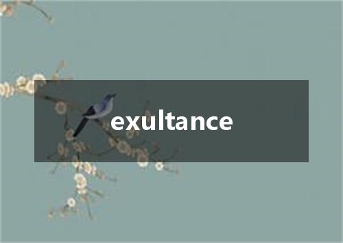 exultance是什么意思
