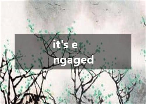 it's engaged是什么意思