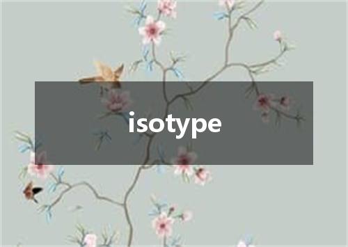 isotype是什么意思