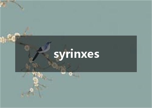 syrinxes是什么意思