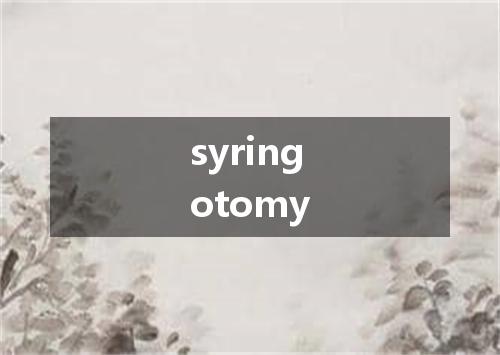 syringotomy是什么意思
