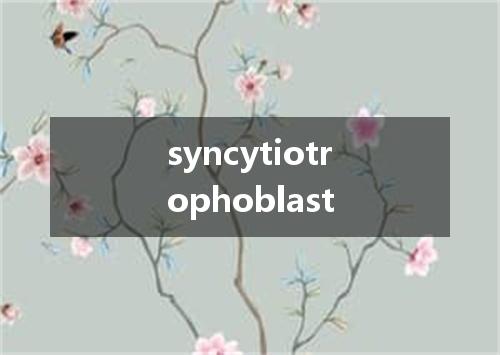 syncytiotrophoblast是什么意思