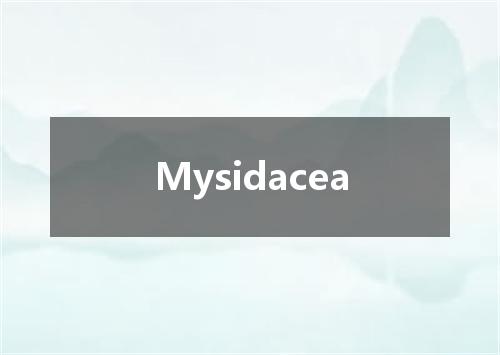 Mysidacea是什么意思