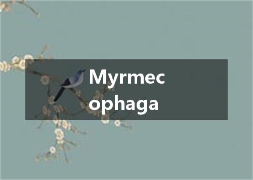 Myrmecophaga是什么意思