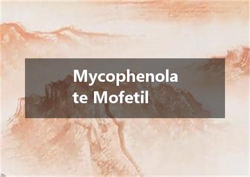 Mycophenolate Mofetil是什么意思