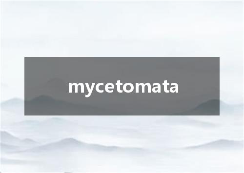 mycetomata是什么意思